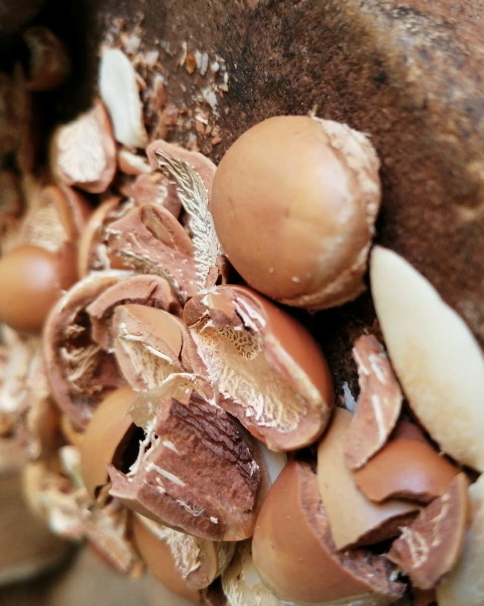 Argan oil